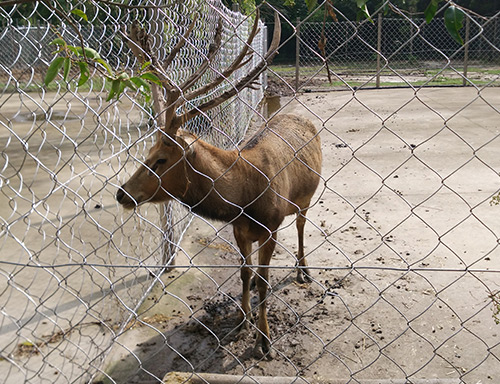 不干膠標(biāo)簽